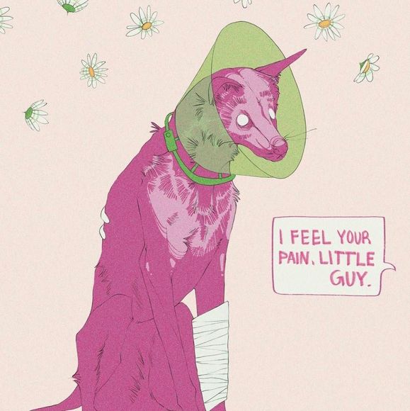 Meet your Posher, Kevin - Picture 1 of 1